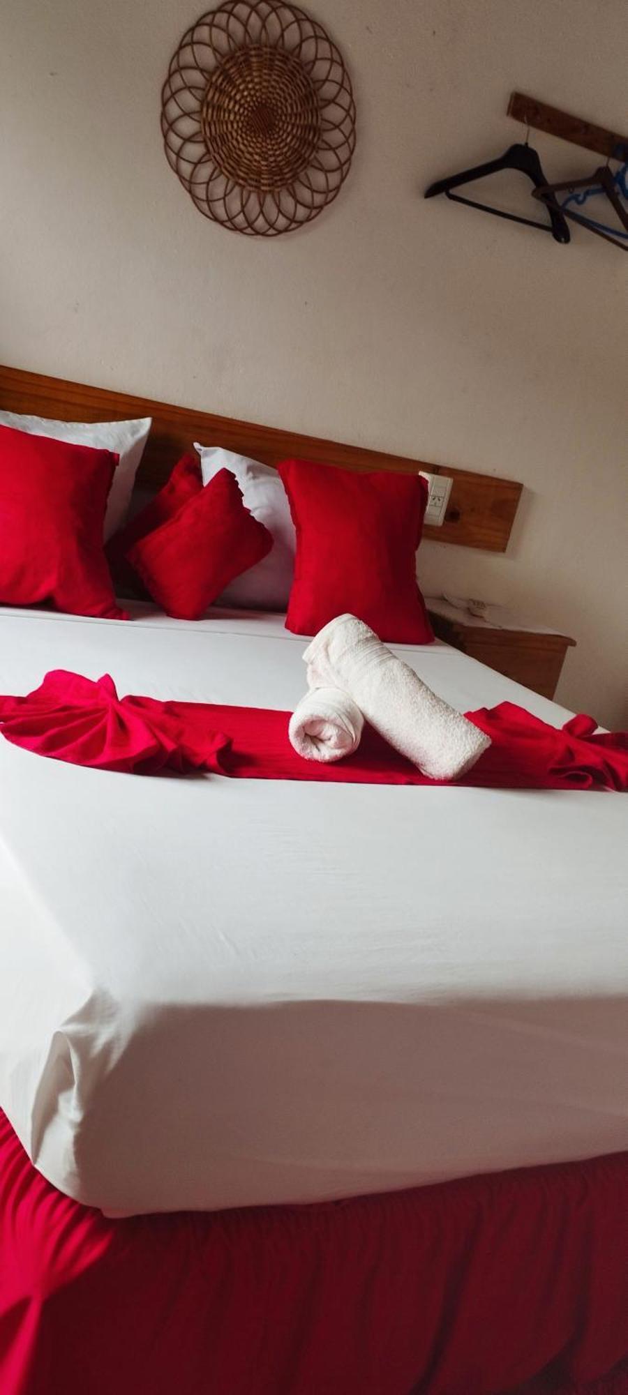 Hostel Damaris 伊瓜苏港 客房 照片